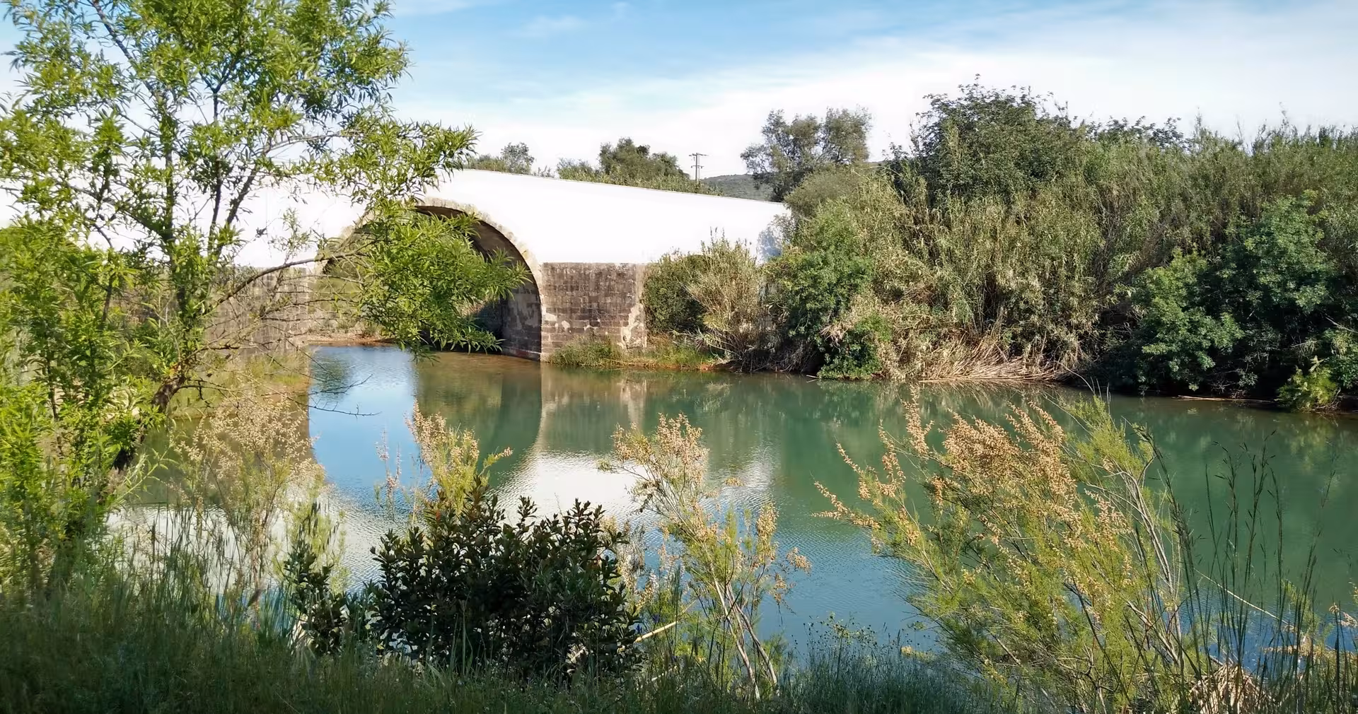 Historic white stone bridge over tranquil green river surrounded by wild vegetation on a scenic Wine & Nature Escape
