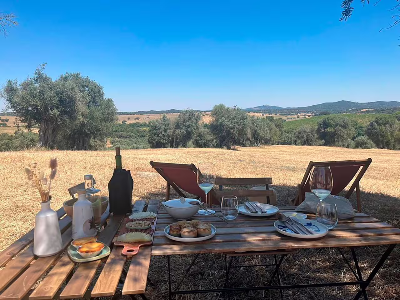 Scenic outdoor table set for wine and olive oil tasting tour, featuring local delicacies amidst vineyard views.