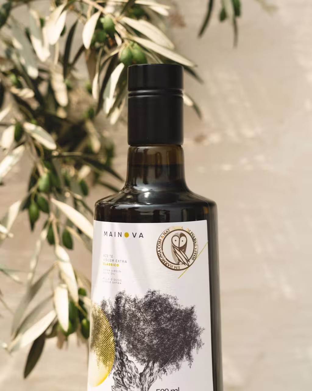 From the olive tree to the table