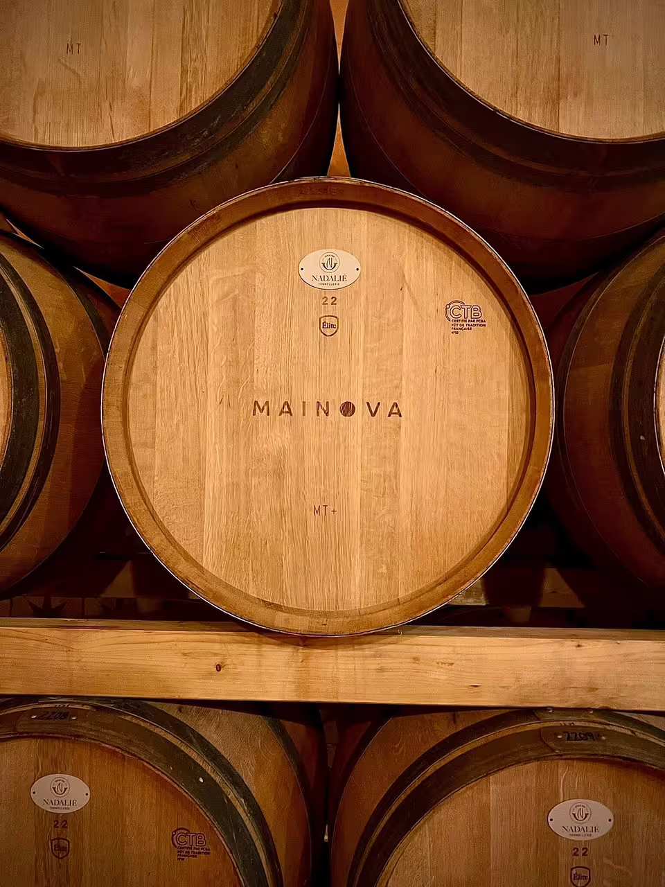 Wooden barrels in a cellar showcasing wine and olive oil tasting experiences, highlighting artisanal craftsmanship and rich flavors.