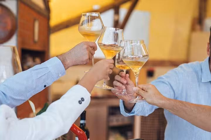 Guests toasting with glasses of white wine under lemon trees in Sorrento during a semi-private lunch.