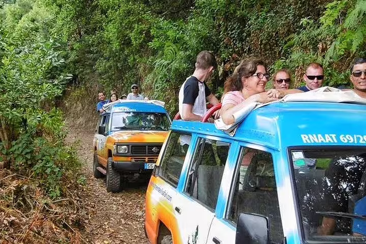 Group of tourists exploring a scenic forest trail in colorful 4x4 jeeps during a thrilling wine and adventure tour.