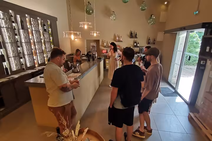 Wine tasting at a Provençal cellar near Les Baux and Saint-Rémy-de-Provence cultural landscapes tour