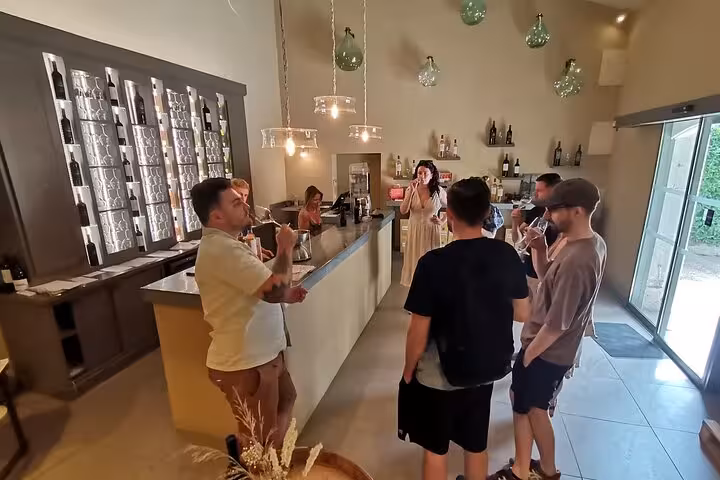 Small-group wine tasting in Provence bar near Saint-Rémy, part of Baux and Saint-Rémy culture and landscapes tour