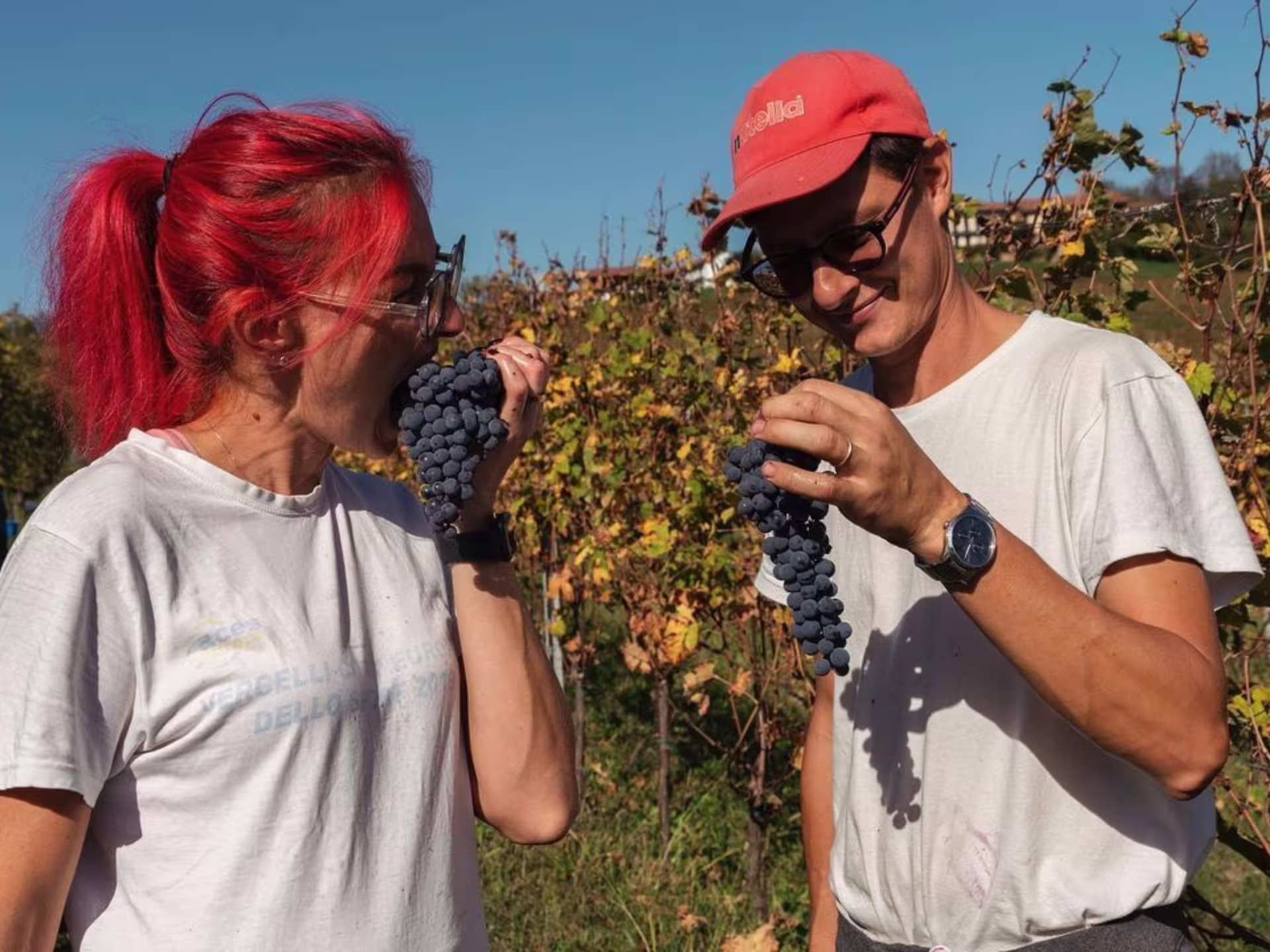 Two individuals enjoying fresh grapes in a vineyard near Turin, capturing the essence of Italian wine culture.