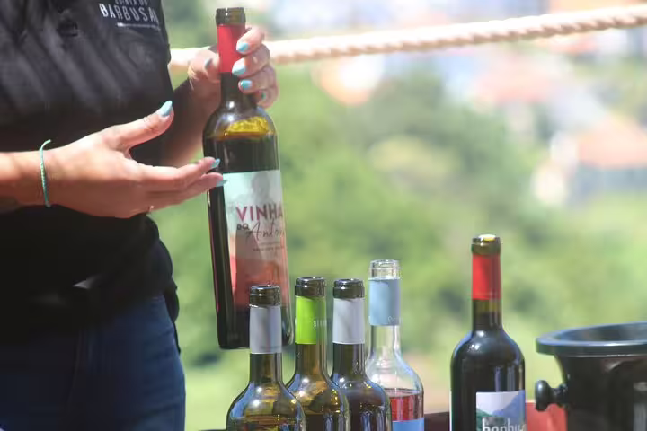 Person holding a wine bottle during a tasting session on a vineyard tour, showcasing diverse wine options in a picturesque setting.