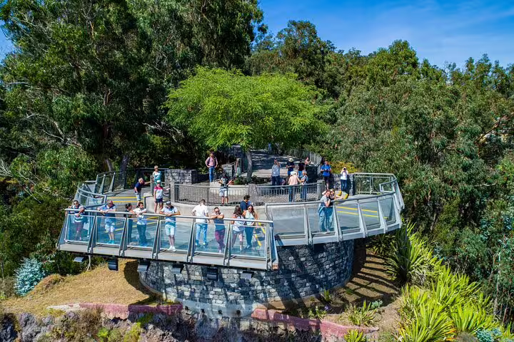 Visitors enjoying panoramic views from a scenic skywalk platform surrounded by lush greenery on a bestselling wine tour adventure.