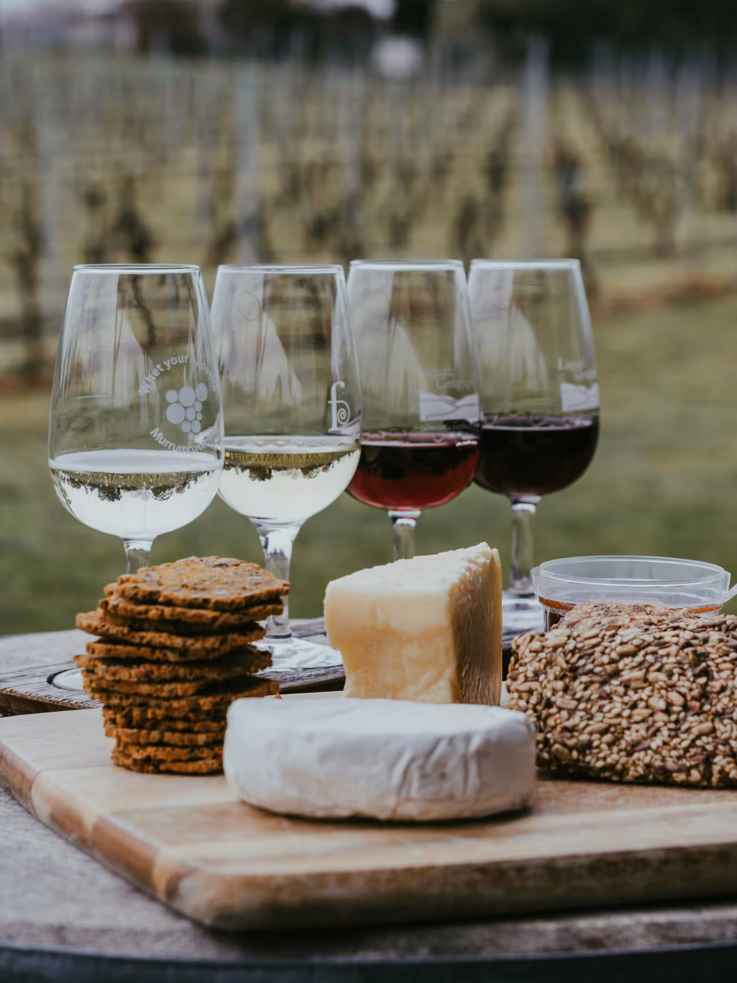 A delightful spread of wine glasses, cheeses, and crackers set against a vineyard backdrop in southern Italy.