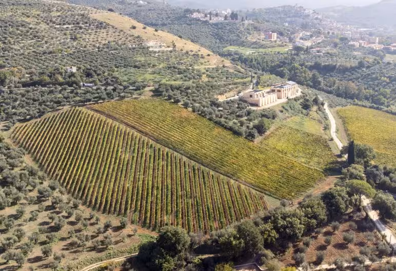 Aerial view of lush vineyards and historic architecture on the Wine Tour South of Rome, perfect for wine enthusiasts.