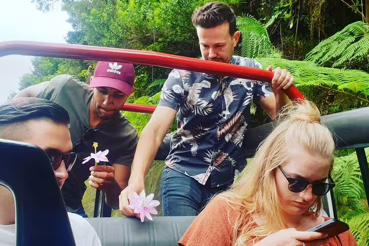 Group enjoying a lush forest 4x4 adventure, highlighting nature's beauty on a bestselling wine tour and tasting experience.