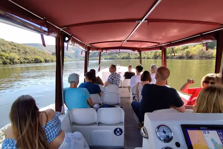 Guests enjoy a scenic river cruise during a wine trip, gliding past green vineyards and valley hillsides