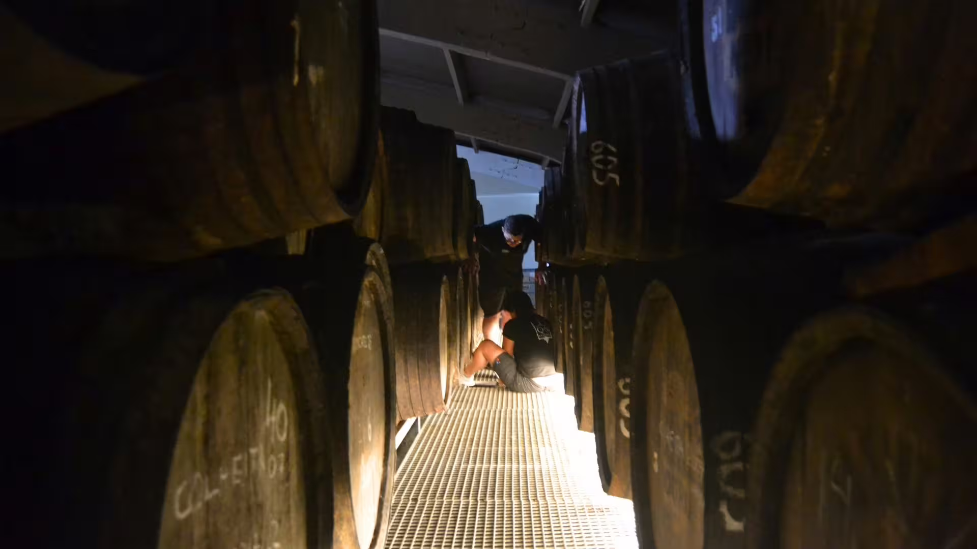 Image of the winemaker and the winery staff controlling their Port Wine barrels
