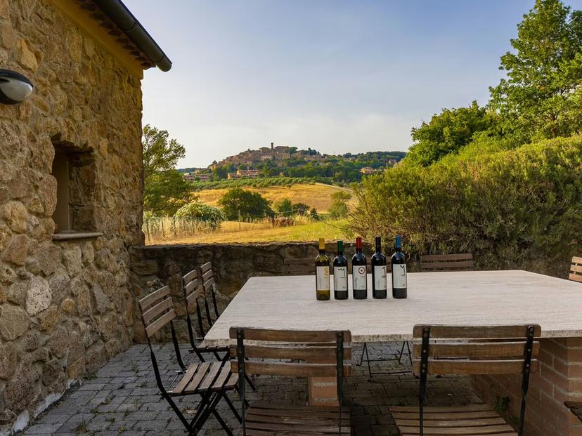 Scenic vineyard view with wine bottles on a rustic table near Livorno and Pisa, perfect for wine tasting tours.