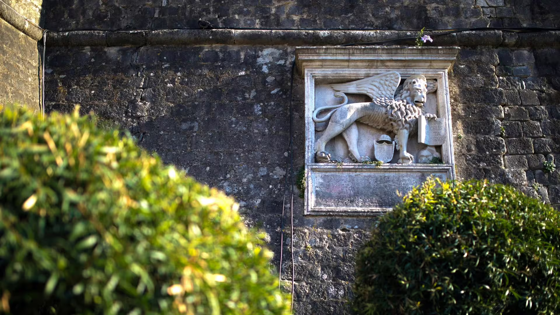 Winged Lion of Venice relief on Kotor city walls, historic detail on the Best of Montenegro from Dubrovnik guided tour