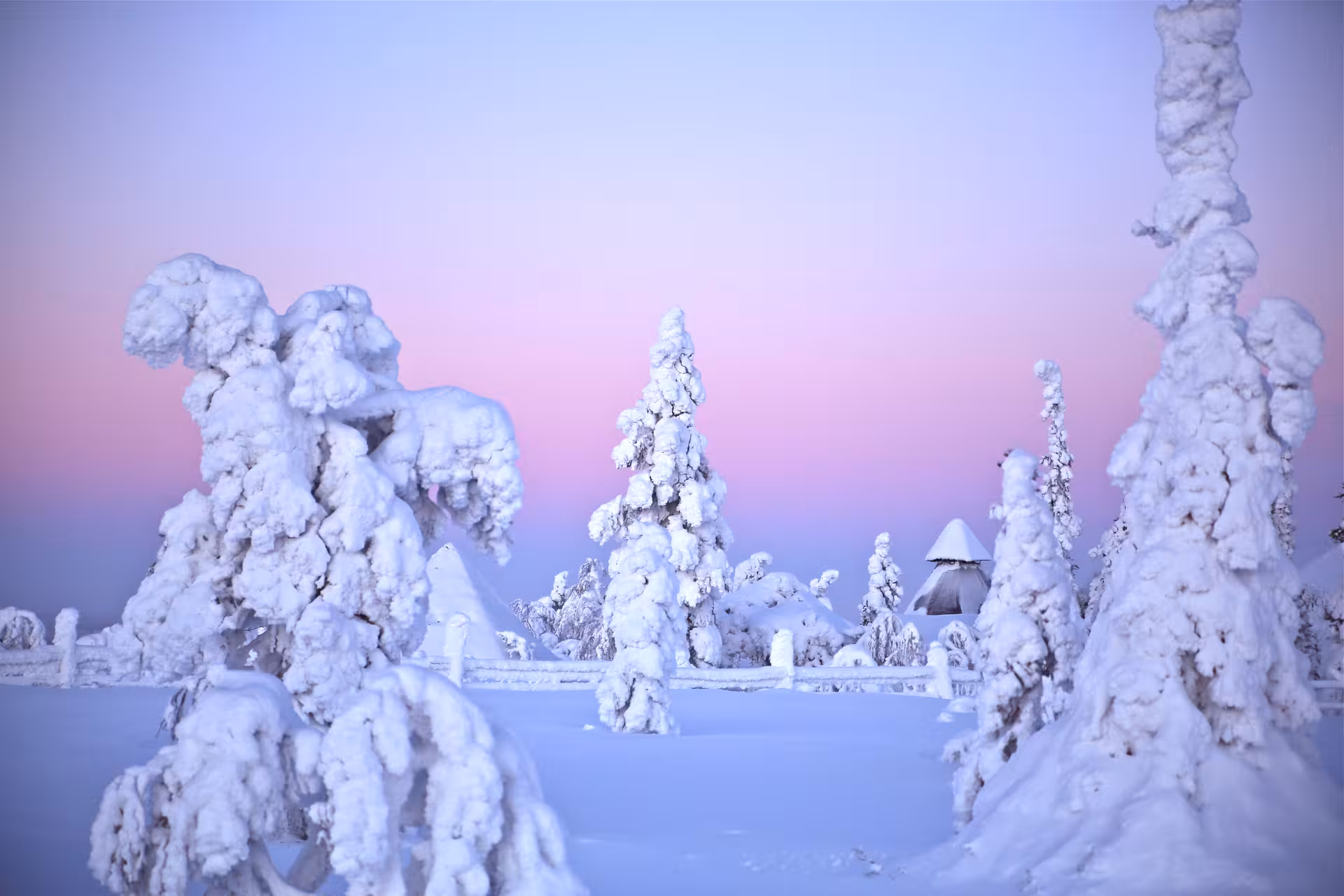 Snow-covered trees under a pastel sunset sky in Lapland, perfect for a Winter Amethyst Mine Experience tour.