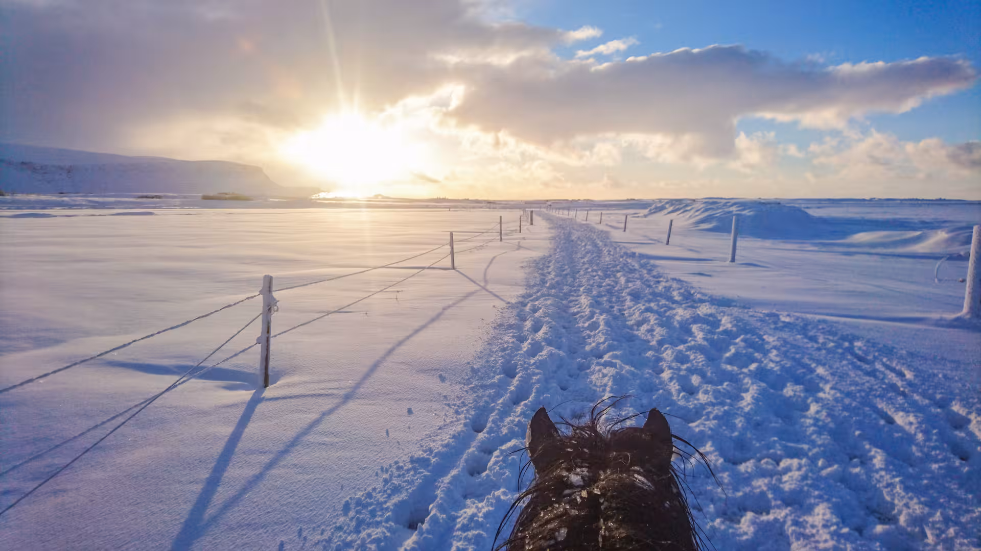 Winter horseback riding on 05B Below the Mountains tour, snowy trail at sunrise beneath Icelandic peaks