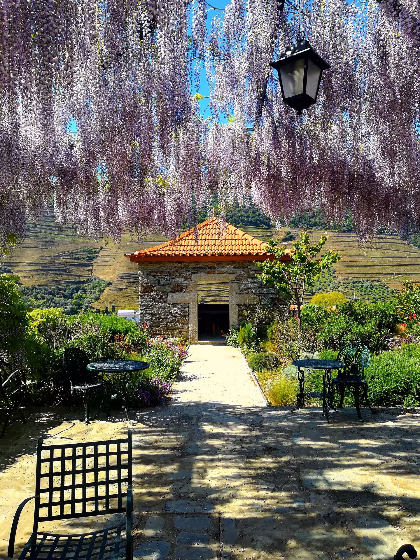 Wisteria-covered terrace and stone cottage in the Douro Valley, a serene stop on an exclusive discovery moment