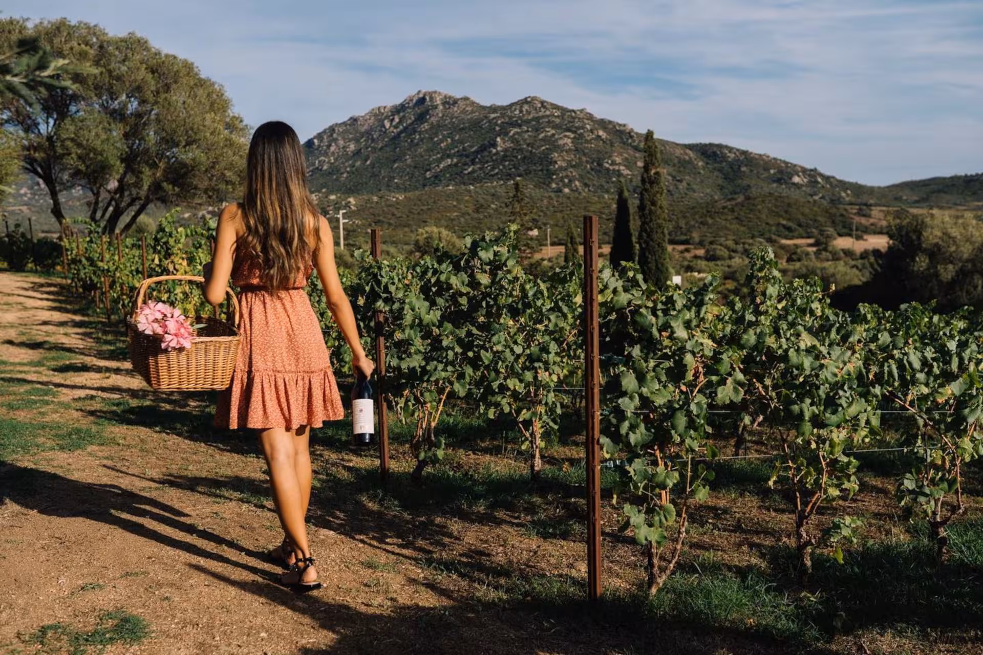 Woman in a red dress carrying a basket and wine bottle, strolling through a picturesque Gallura vineyard in Olbia.