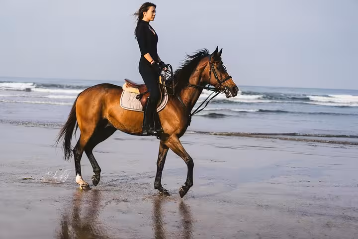 Woman riding a brown horse on Marsa Alam shoreline, Red Sea waves, sunrise beach and desert horse tour