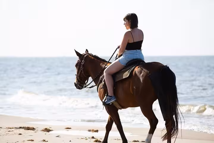 Woman riding a horse along the shoreline, Sharm El Sheikh beach horse riding tour with hotel transfer