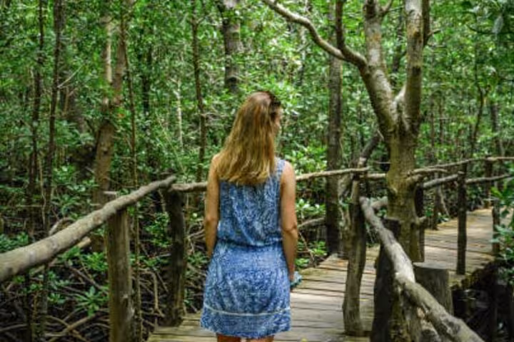 A woman in a blue dress explores the lush, green pathways of Jozani Forest, embracing Zanzibar's natural beauty.