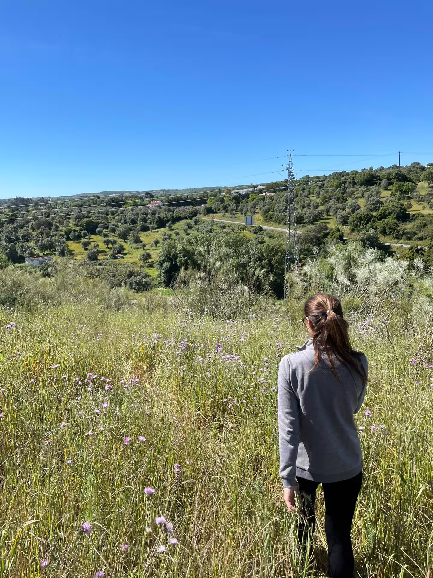 Woman enjoying panoramic views of Montemor-o-Novo's scenic landscape on a sunny day.