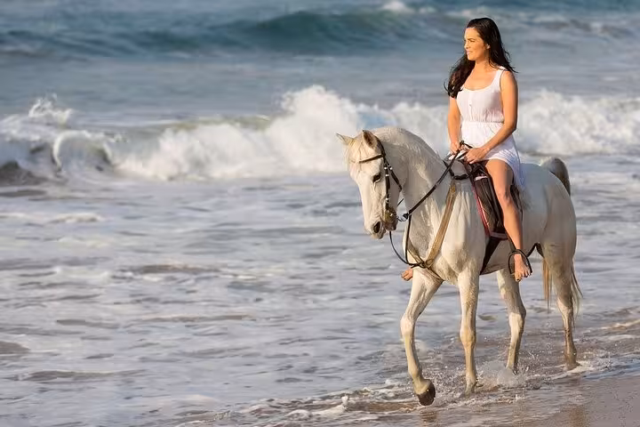 Woman riding a white horse at the shoreline in Hurghada, Red Sea, during a 3-hour swim with horses trip