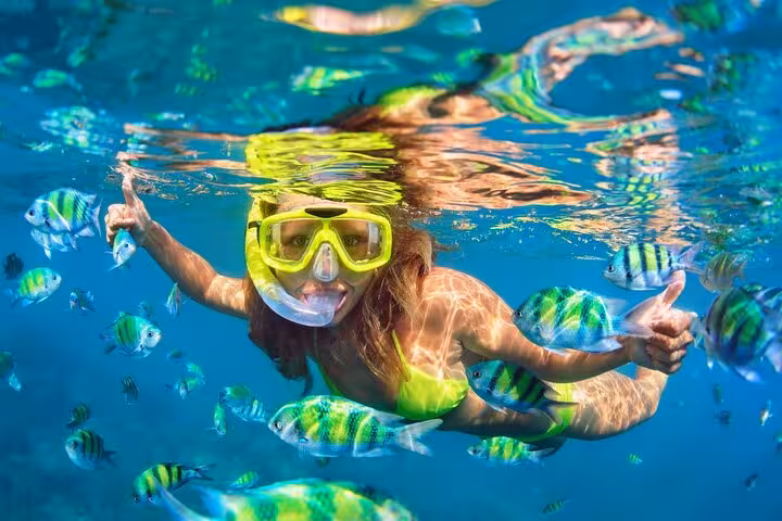 Woman snorkeling with colorful reef fish in Ras Mohamed National Park on White Island tour from Sharm El Sheikh