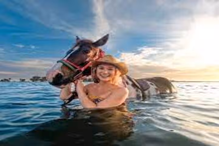 Woman swimming with a horse in the Red Sea at sunset in Hurghada, 3-hour swim with horses experience