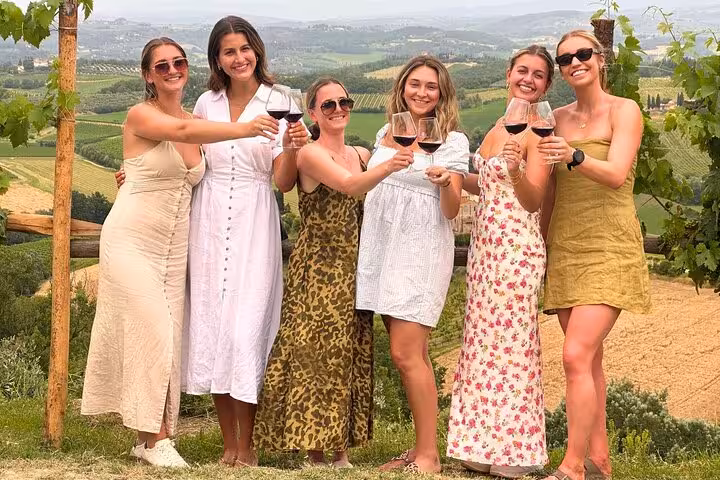 Women toasting with red wine in a scenic Tuscan vineyard, celebrating the flavors of Chianti wine country.