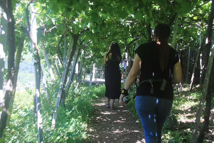Two women walk through a lush vineyard canopy during a half-day jeep wine tour and tasting adventure near scenic sea cliffs.