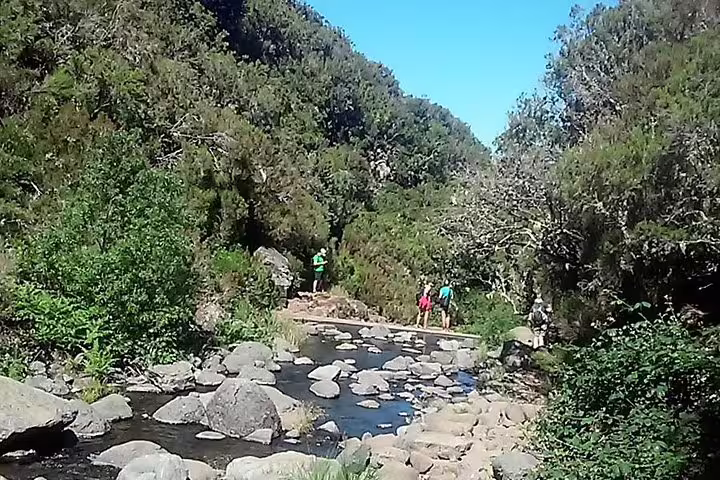 Hikers enjoying a scenic trail along a rocky stream surrounded by lush greenery on the Wood Levada Levada tour.