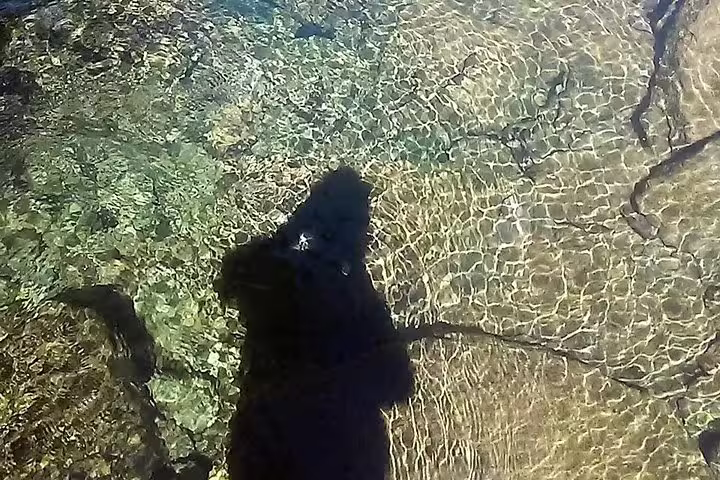 Shadow of a person reflected in the crystal-clear waters of a stream on the Wood Levada Levada hiking experience.