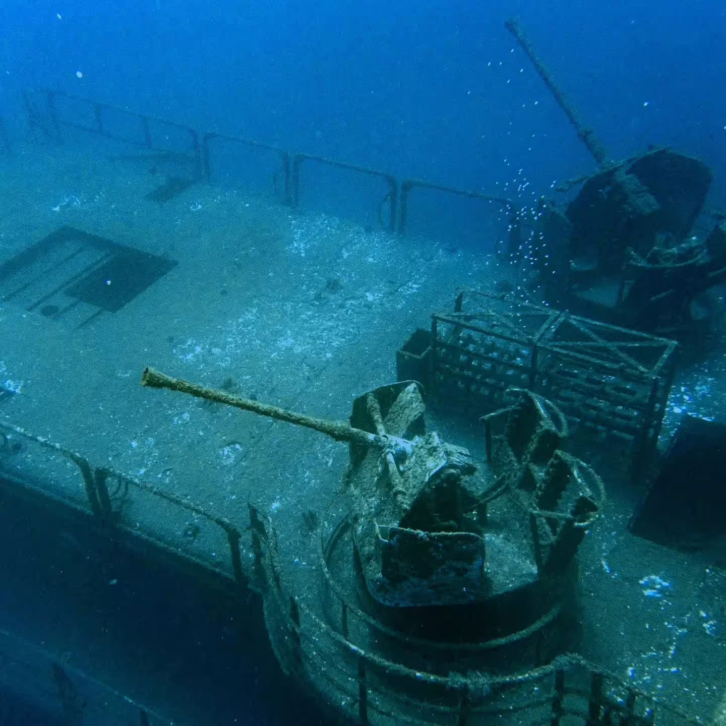 Underwater view of the sunken Wreck Corveta Afonso Cerqueira, showcasing marine life and historic ship structures for divers.