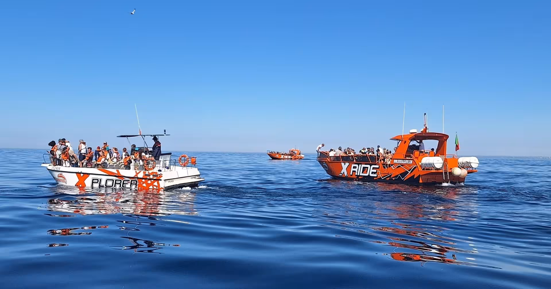 Tourists on X Ride Algarve speedboats cruising the Algarve coast on a Benagil caves and dolphin watching tour
