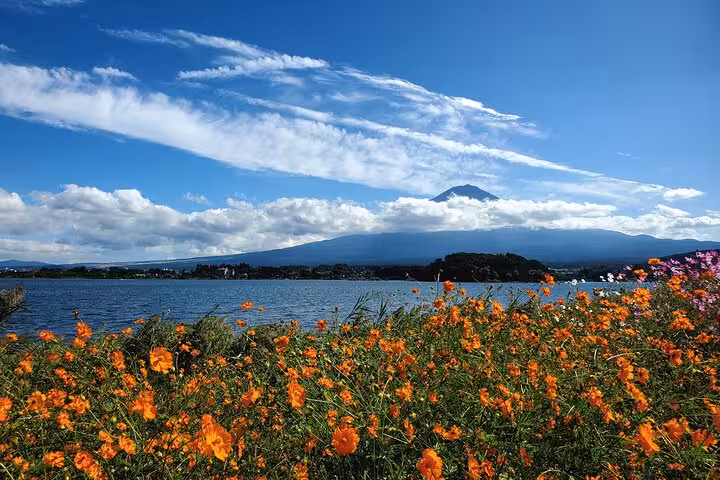 Vibrant orange flowers with Mt. Fuji in the background on a clear day during Yokohama to Mt. Fuji private tour.