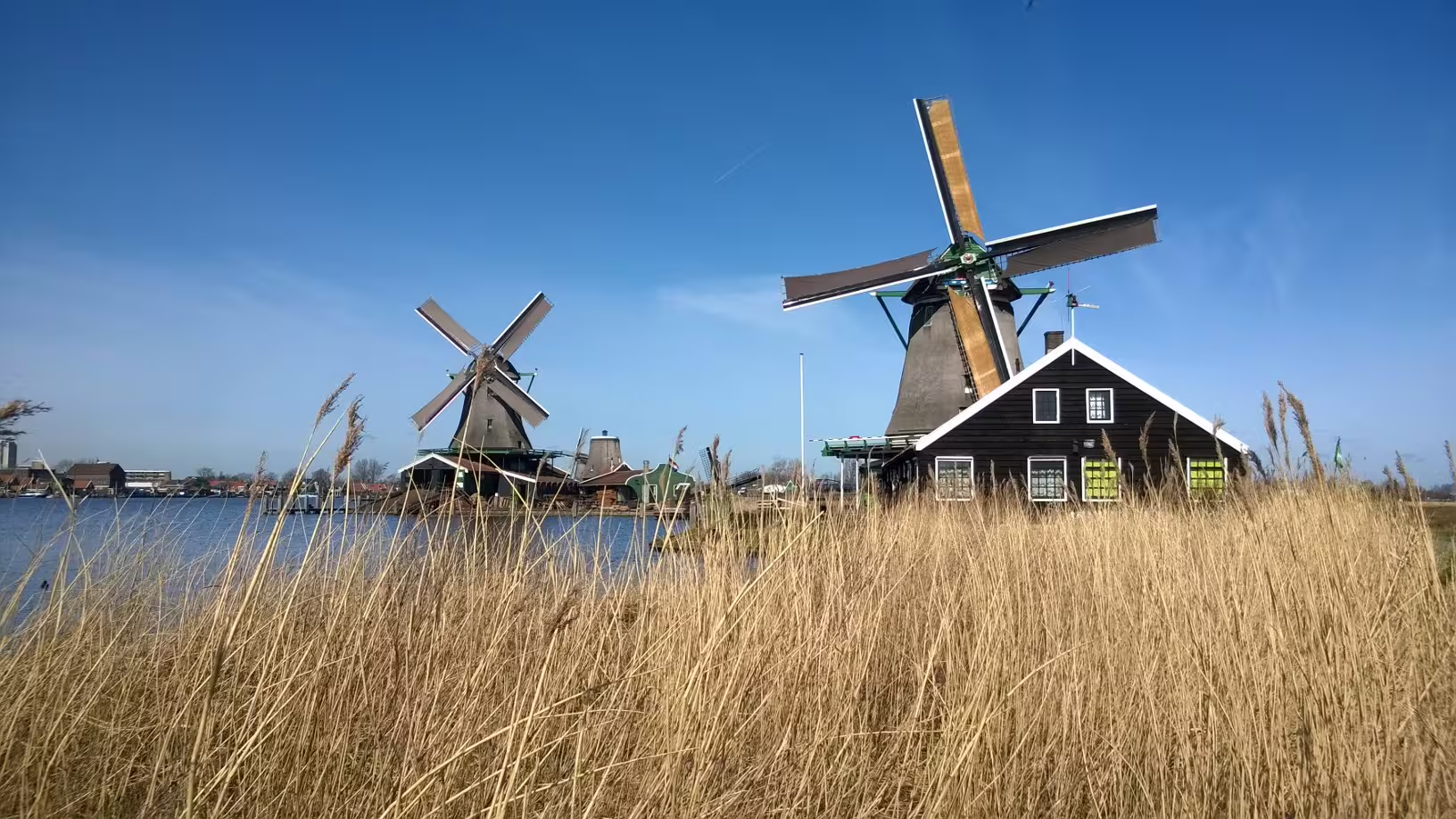 Iconic Zaanse Schans windmills by the water, must-see highlight on a private Zaanse Schans tour from Amsterdam