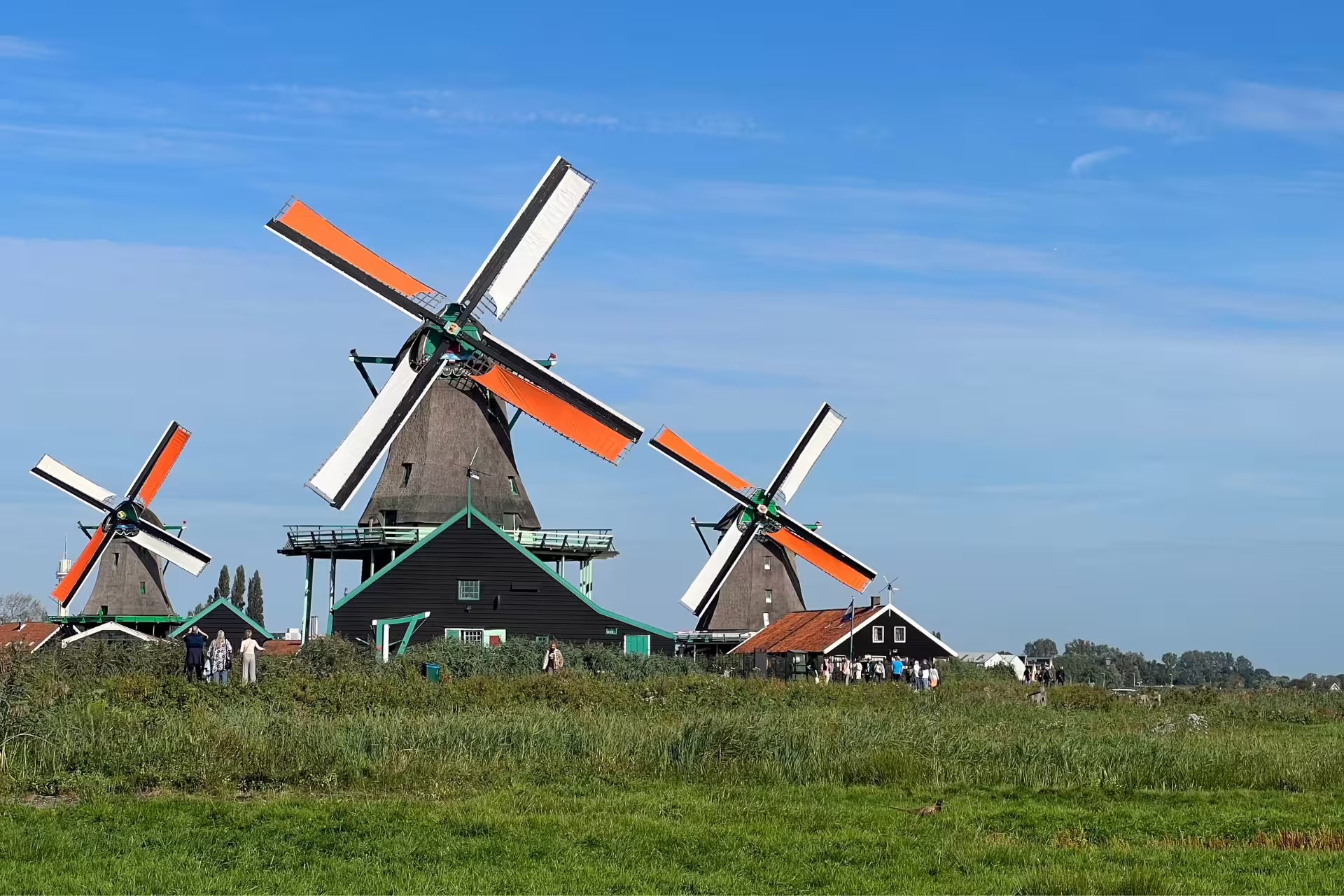 Zaanse Schans windmills near Amsterdam, classic Dutch countryside stop on Volendam and Giethoorn day tour