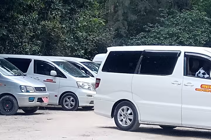 White shuttle vans lined up for efficient Zanzibar island transportation services near lush greenery.