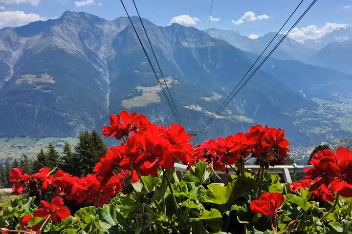 Red geraniums by cable car viewpoint on Zurich day trip to Aletsch Glacier, overlooking Valais Alps