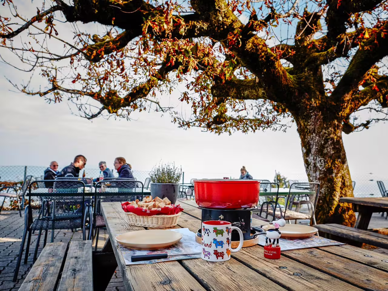Outdoor dining with fondue under a tree, scenic views in Zurich's cable car tour.