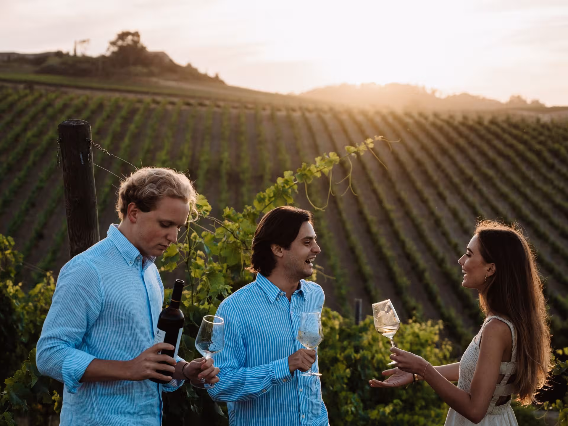 Group enjoying wine tasting at a vineyard during sunset on an Abbey Tour near Pisa, Tuscany.