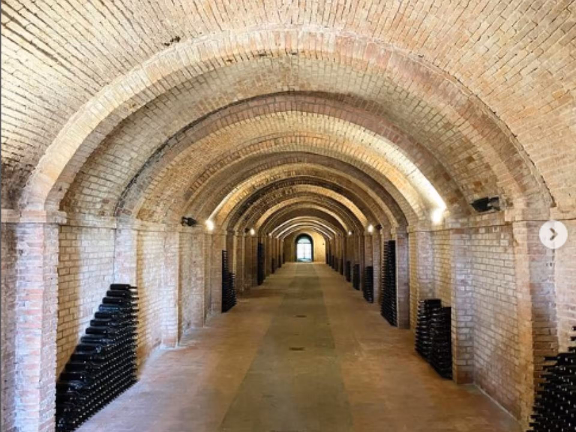 Explore a historic wine cellar with arched brick ceilings during the Abbey Tour near Pisa, perfect for wine enthusiasts.