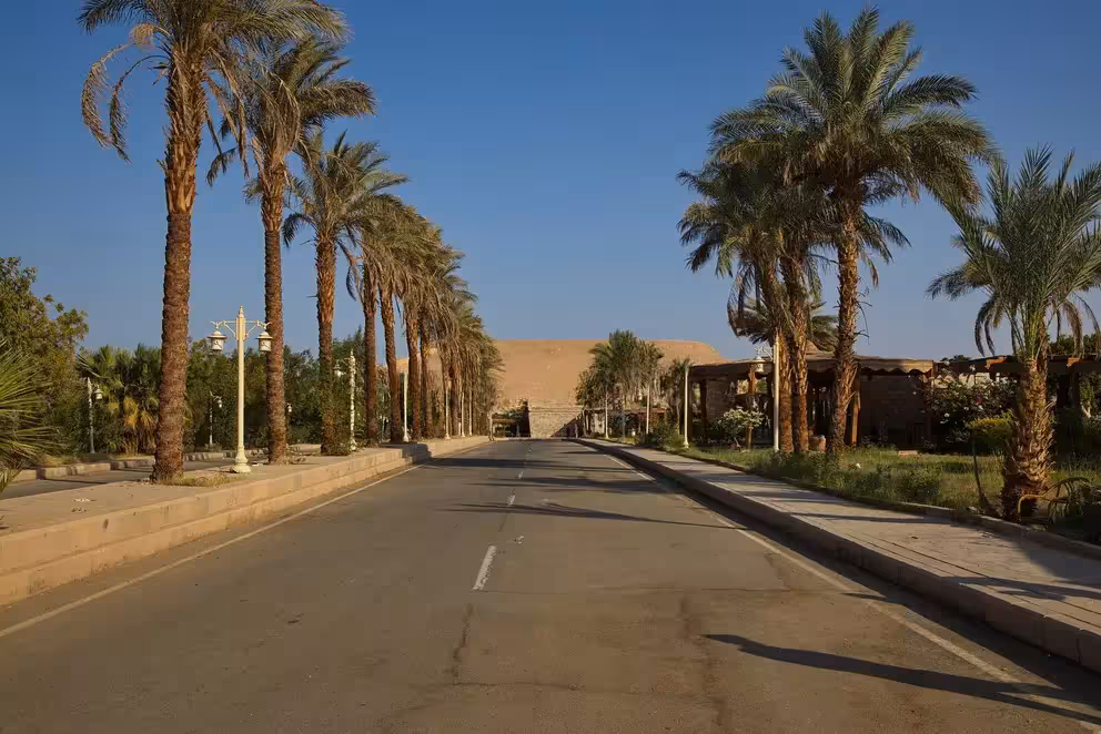 Palm-lined road near Abu Simbel, scenic drive from Aswan for early morning temple visit with private transport