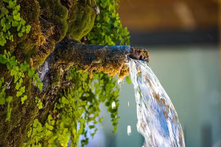 Mossy stone fountain spout in Aix-en-Provence, refreshing Provence detail on Cézanne wine tasting tour
