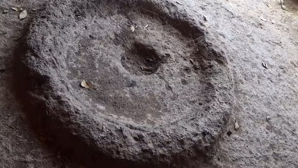 Unearth ancient stone carvings on Alghero's archaeological tour, showcasing Sardinia's rich cultural heritage.