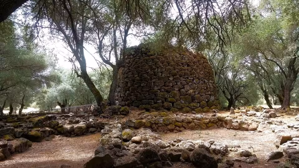 Experience Sardinia's unique nuraghe ruins surrounded by lush forest on the Alghero archaeological tour.