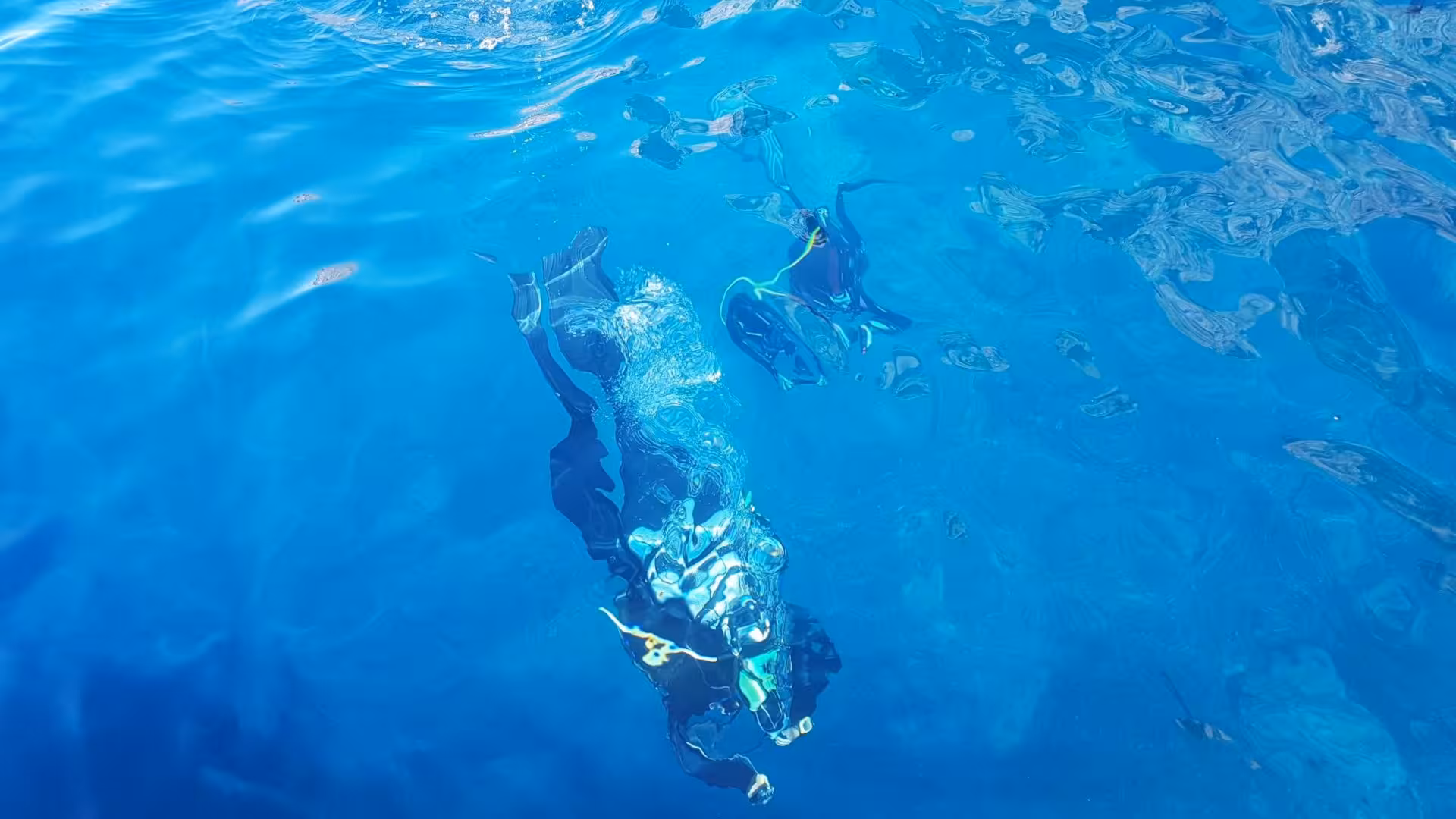 Snorkeler explores vibrant blue waters near Capo Caccia cliffs in Alghero, offering an immersive underwater adventure.