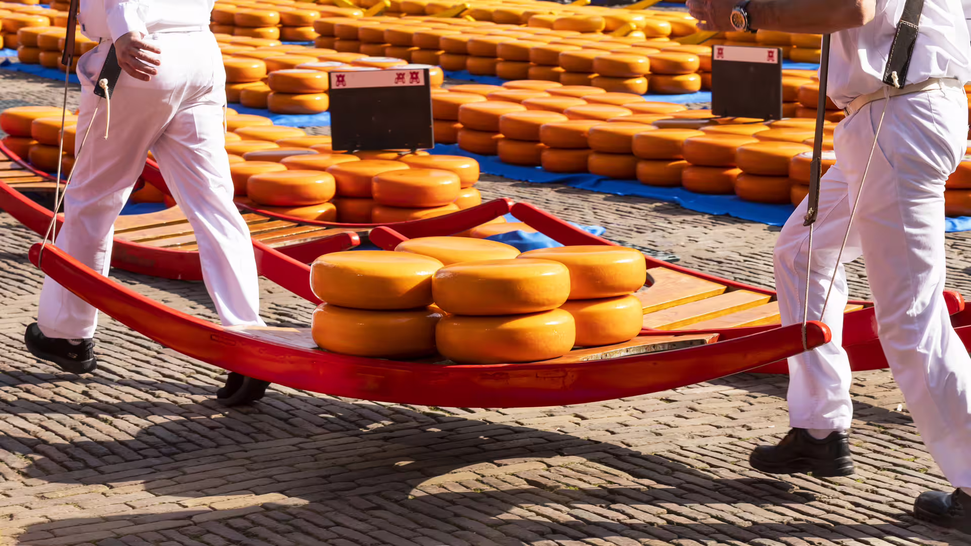 Alkmaar cheese market scene with traditional carriers hauling Gouda wheels on a barrow, self-guided tour