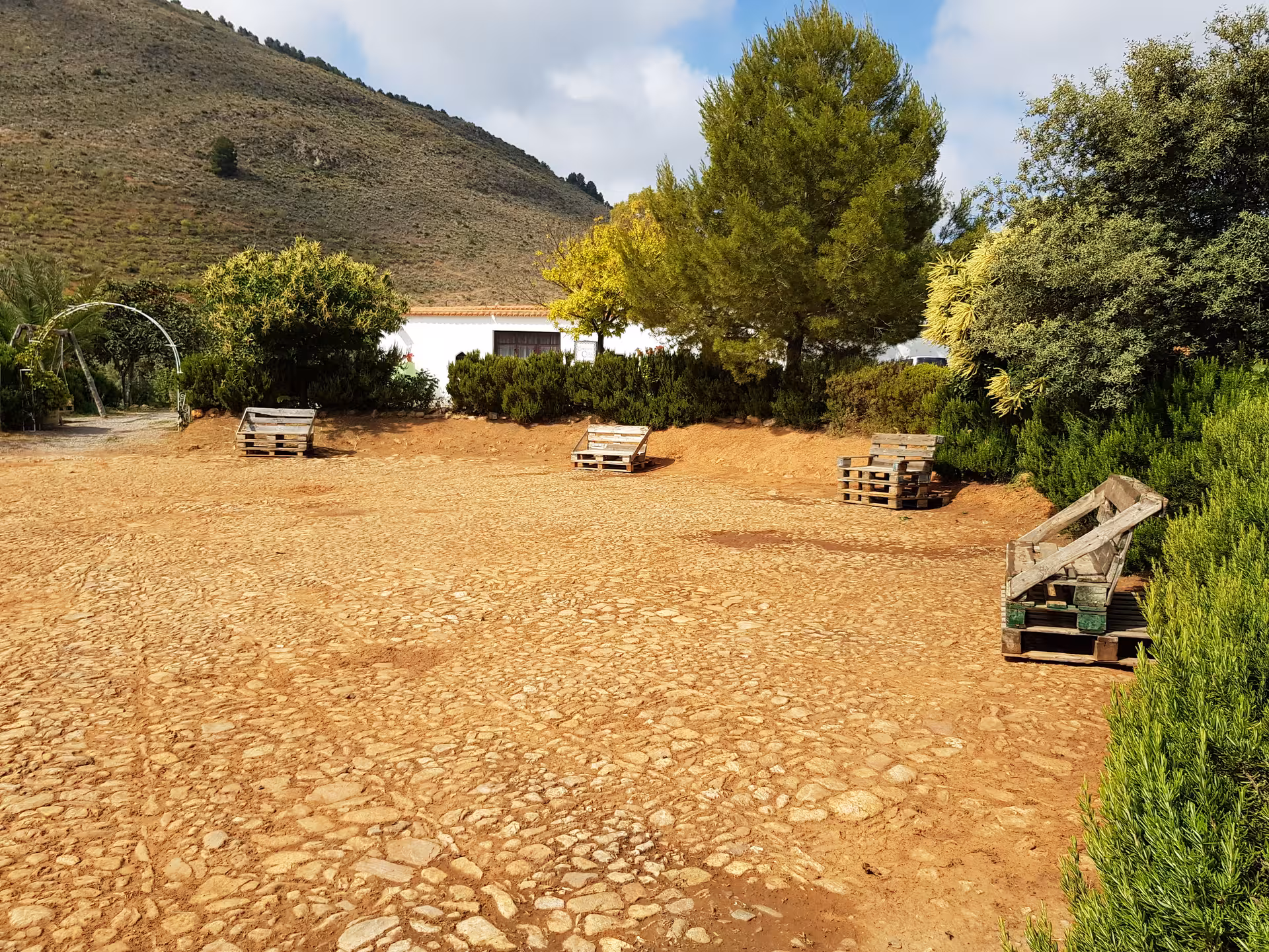 Rustic courtyard with wooden pallets and lush greenery at a vineyard in Almería, ideal for wine tasting experiences.
